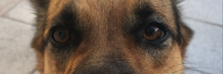 gmaas_'s profile banner image