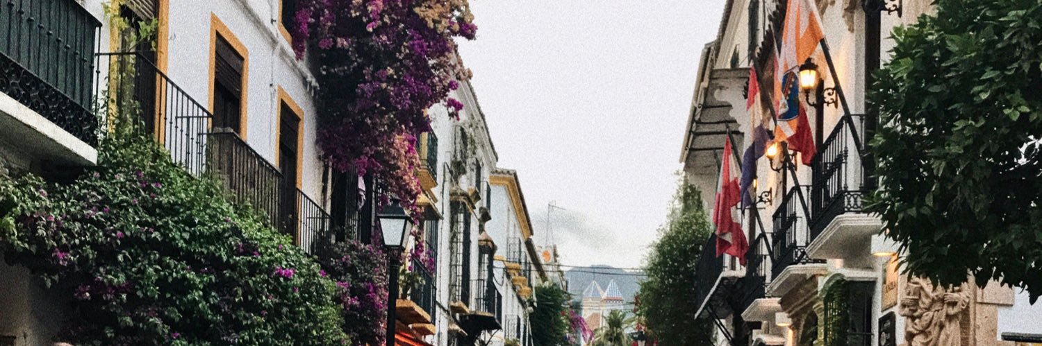 laurasanchez_4's profile banner image
