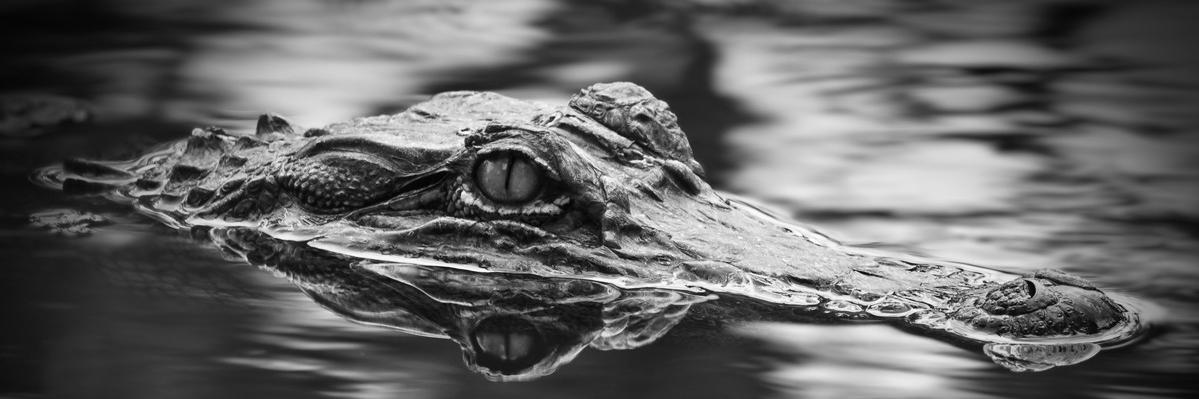 brannifromuk's profile banner image