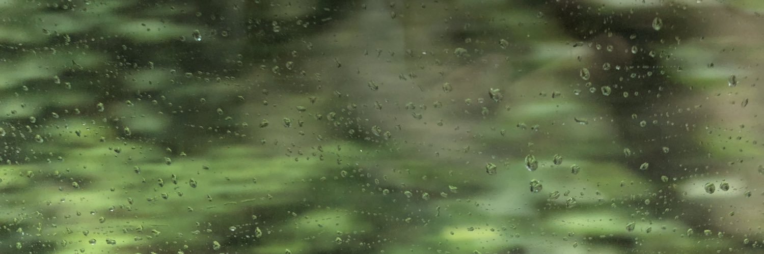 lolripalex's profile banner image