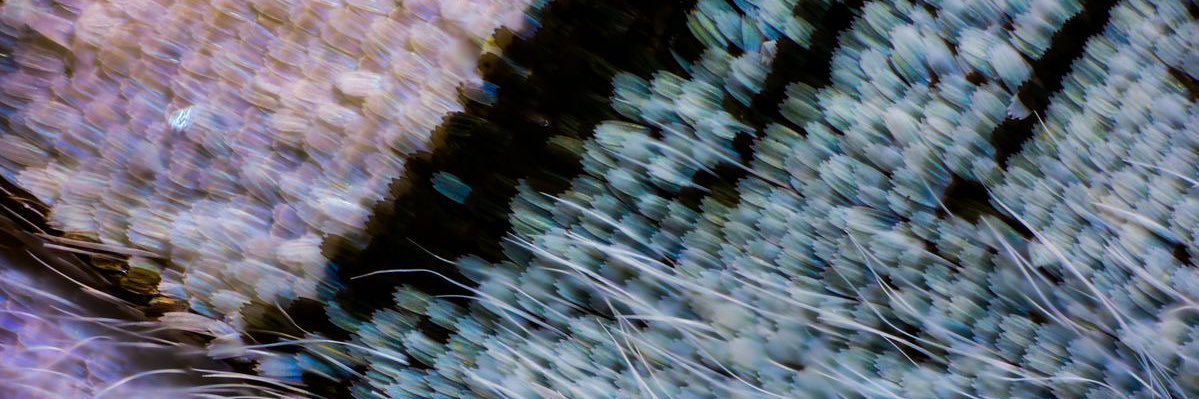 alexandrajep_'s profile banner image