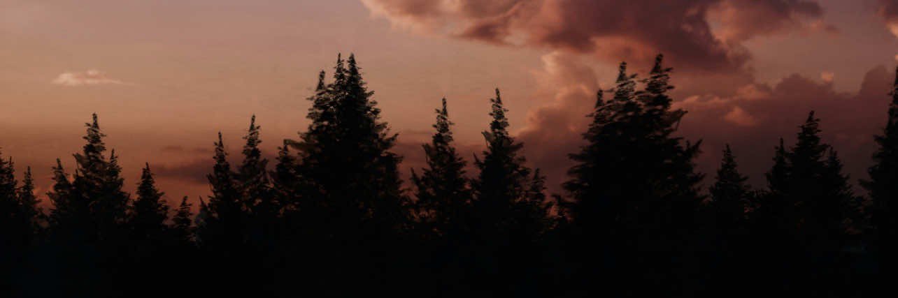 caleb1998bit's profile banner image