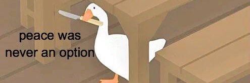 루메라 애비 반님 banner