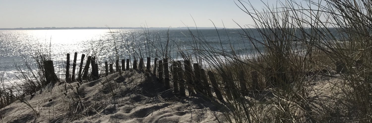 ♫ Adeleen  ♫ banner