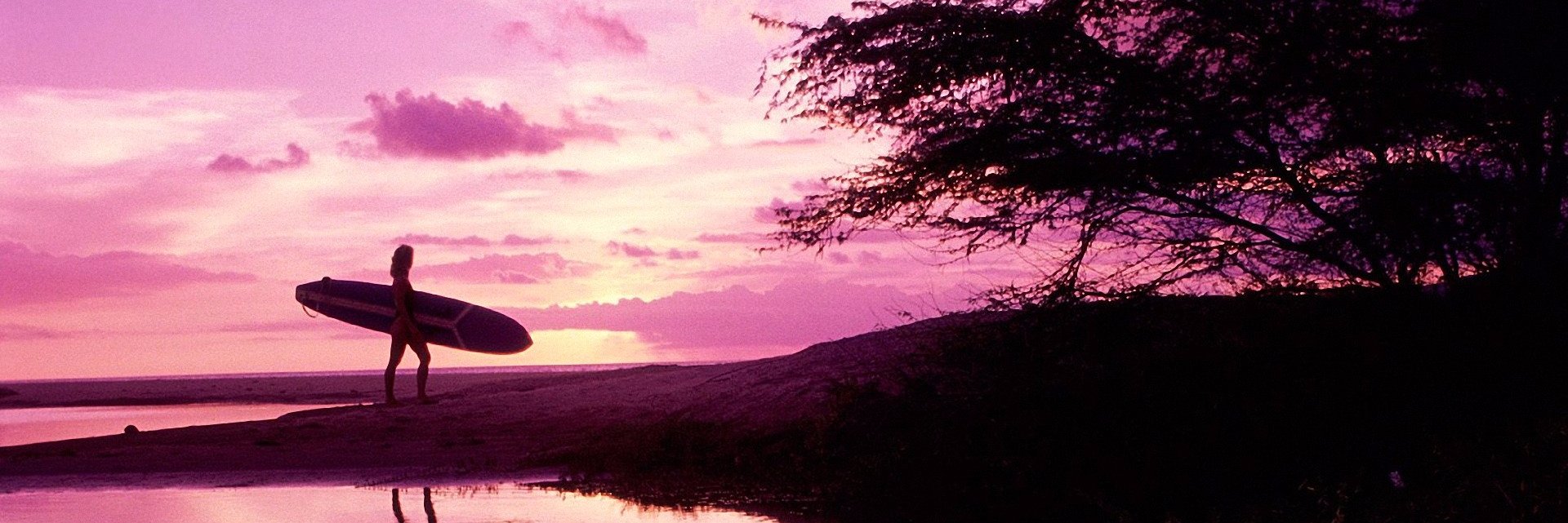 TahoeDeeds's profile banner image