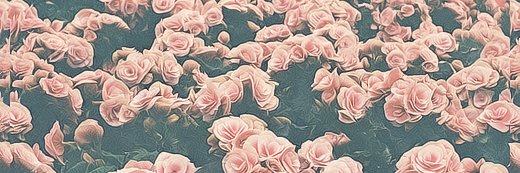 Sonja Fernandes banner