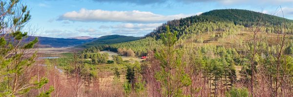 FionaLawrenceHT Profile Banner