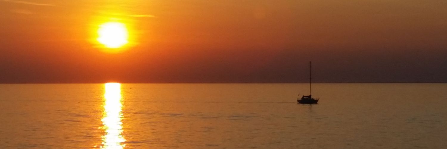 SandroMenia's profile banner image