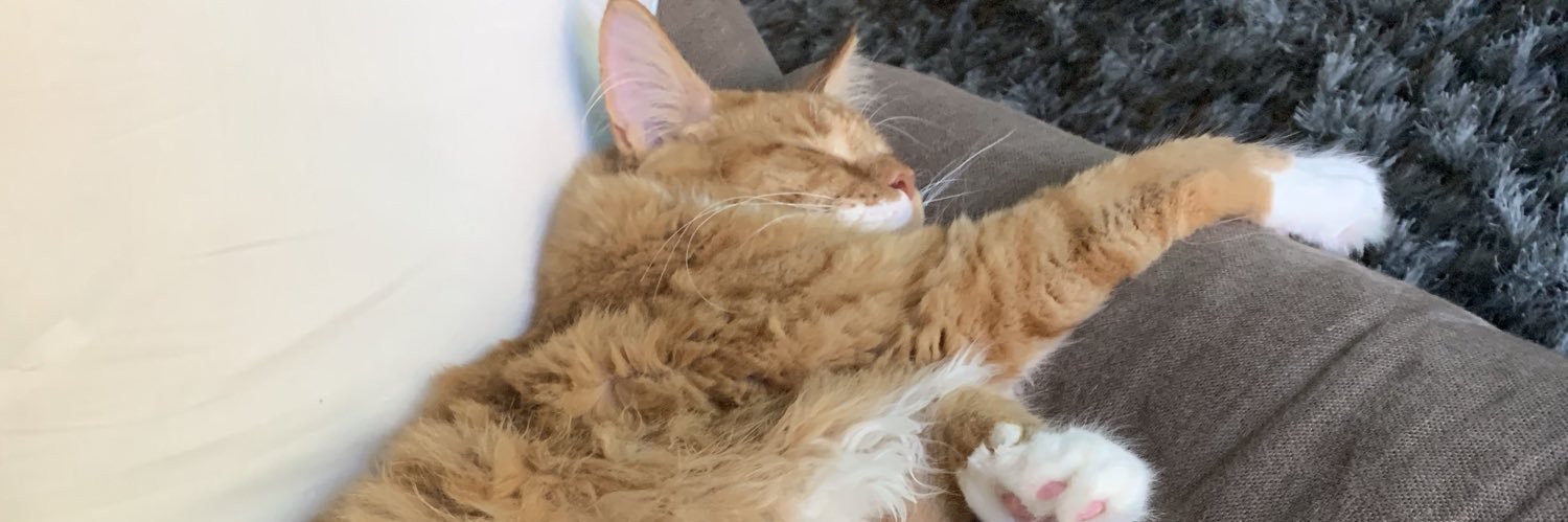 BengalLuffy's profile banner image