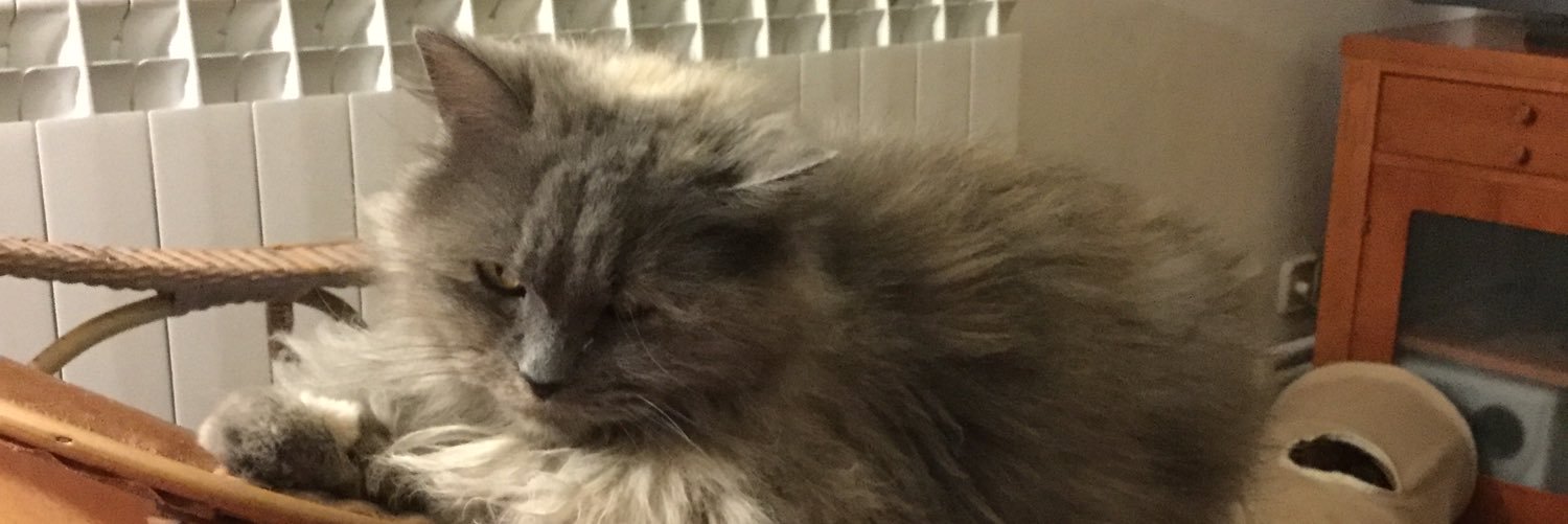 orosia3's profile banner image