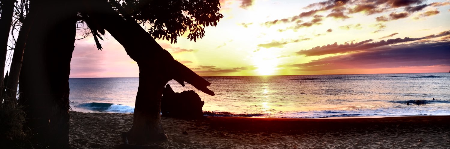 monicakshields's profile banner image