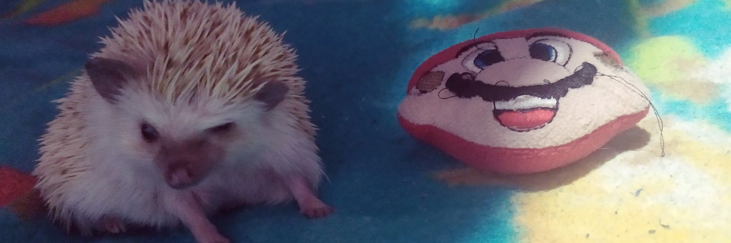 DianSmith97's profile banner image