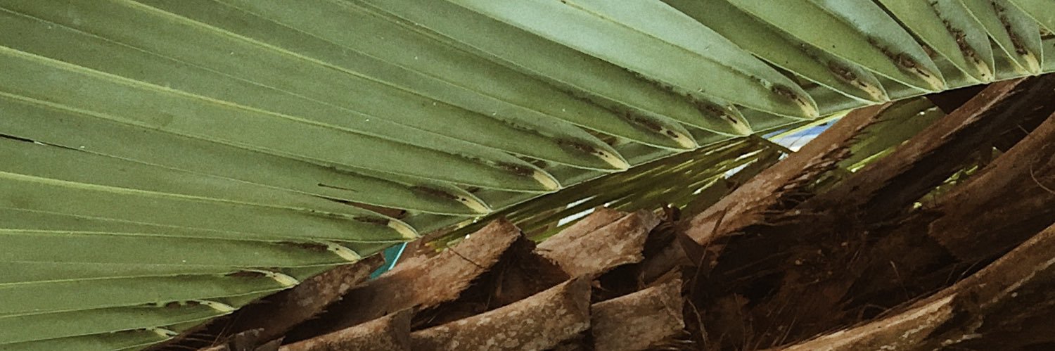CaitlinLawlesss's profile banner image