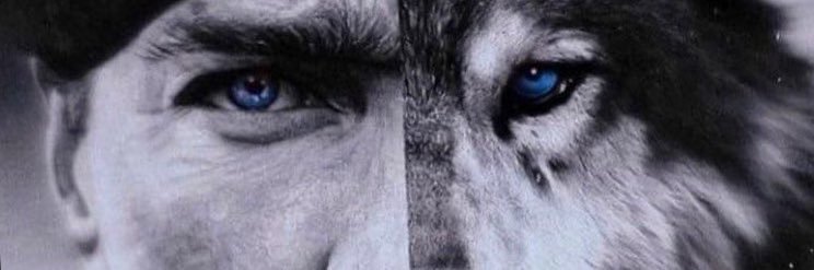 oldwolf3367's profile banner image