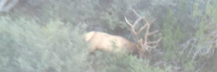 broadhead_az's profile banner image
