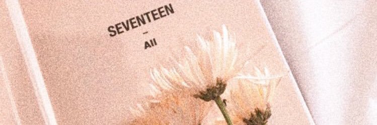 NarryvsLilo's profile banner image