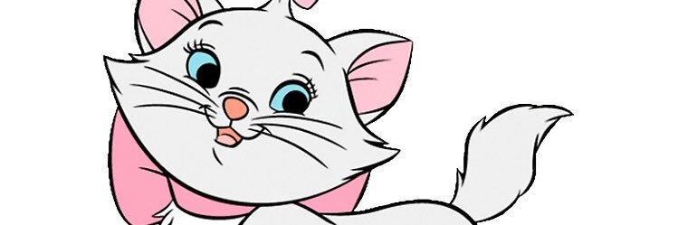 morganegnche's profile banner image