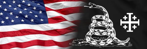 The_Zeppenwolf Profile Banner