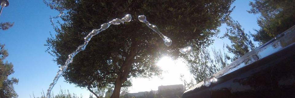 Neal_Strauss's profile banner image