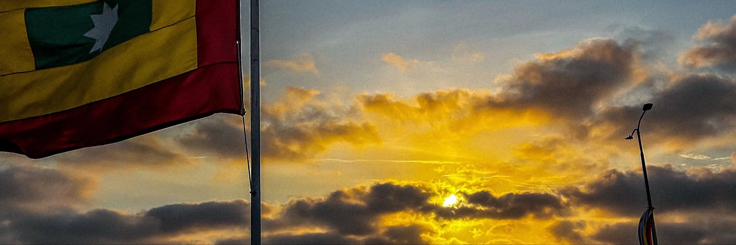 voldsoyCitizen's profile banner image