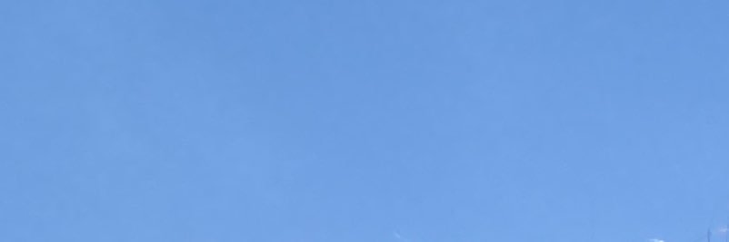 ficusmom's profile banner image