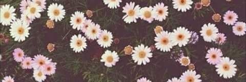 GirlMARIOBAUTIS's profile banner image