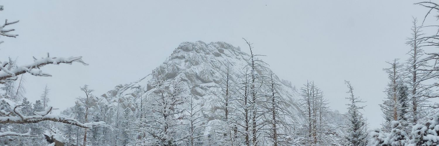 Brandon__Lantz's profile banner image
