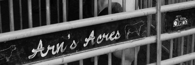 GraceRichey's profile banner image