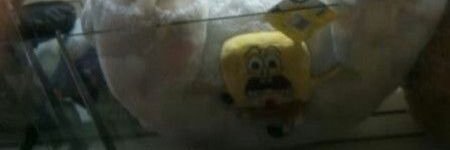 dead1234 banner