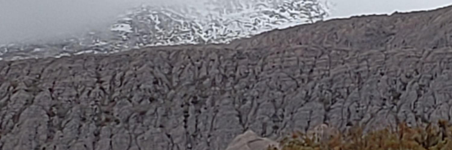 msrodriguezp's profile banner image