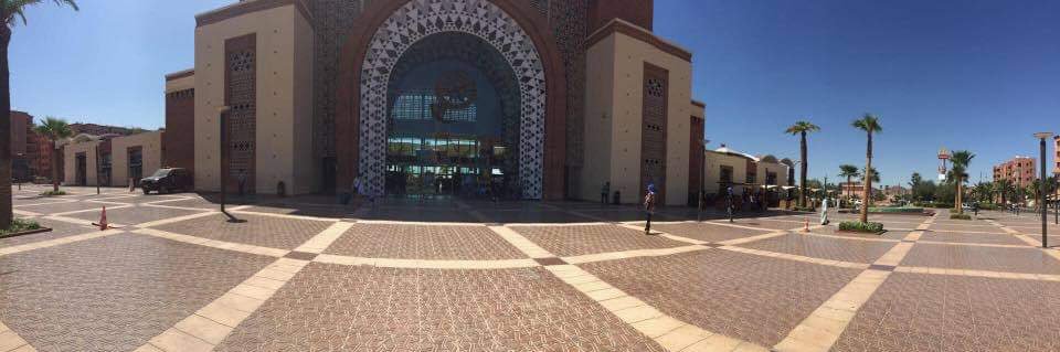 along_came_safaa banner