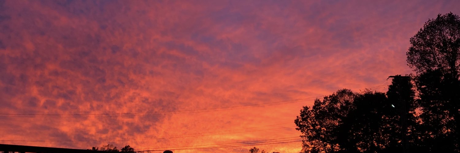 abbyledford22's profile banner image