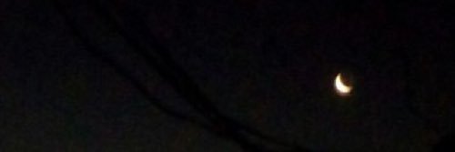 esayins's profile banner image