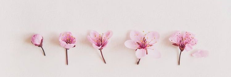 🍃 banner