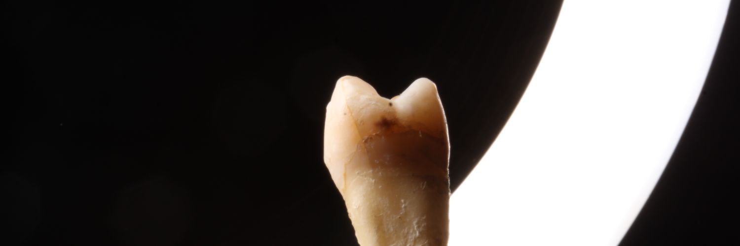 Mabelowski's profile banner image