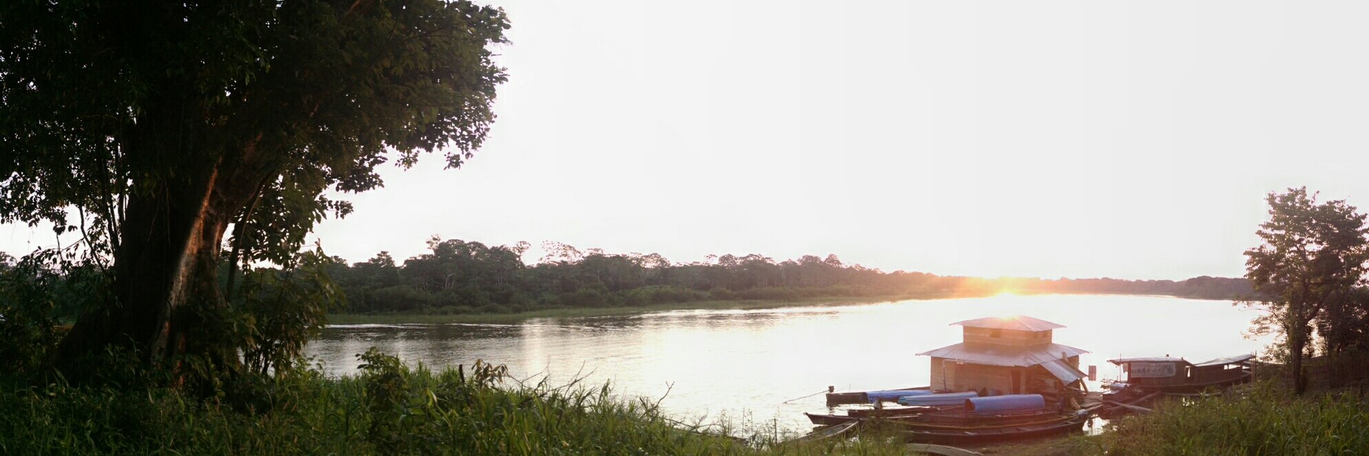 Sarasty_Nicol's profile banner image