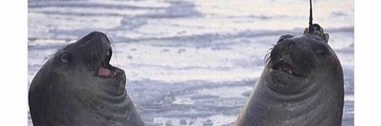 MullenEvan's profile banner image