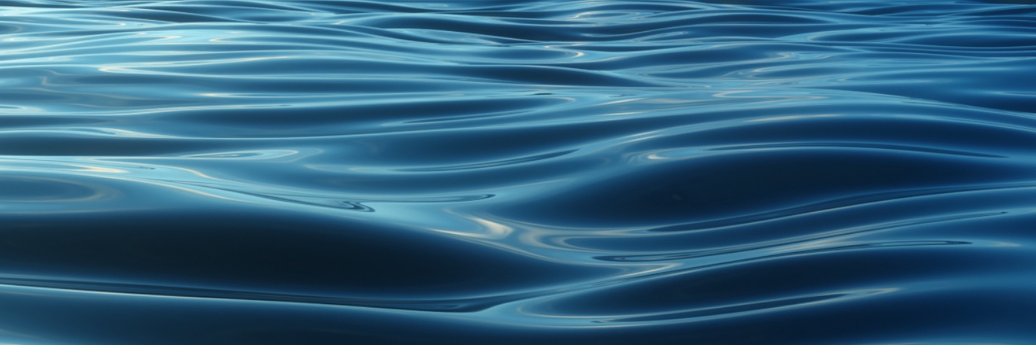 calvomorrison's profile banner image
