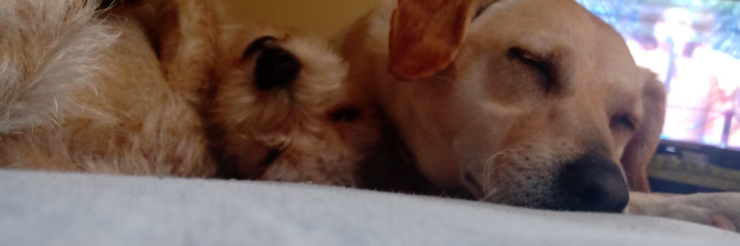 brendamena_b's profile banner image