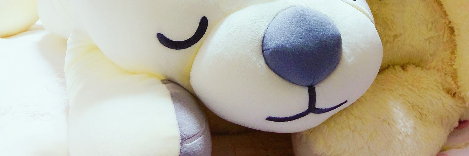 jimshenh's profile banner image