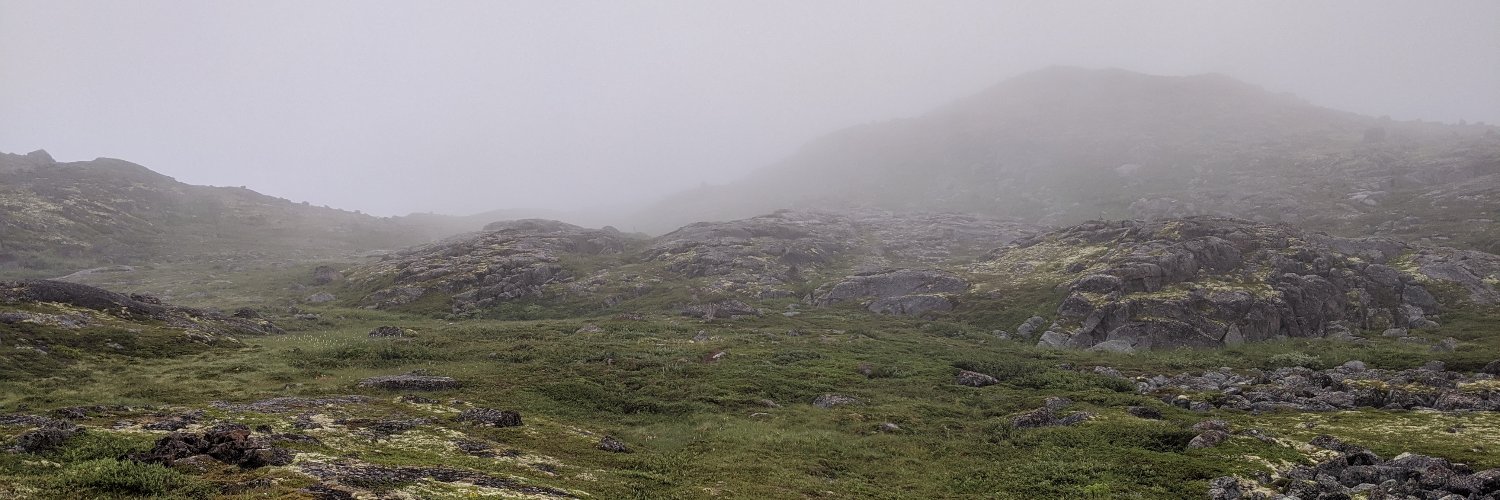 лидовская морда banner