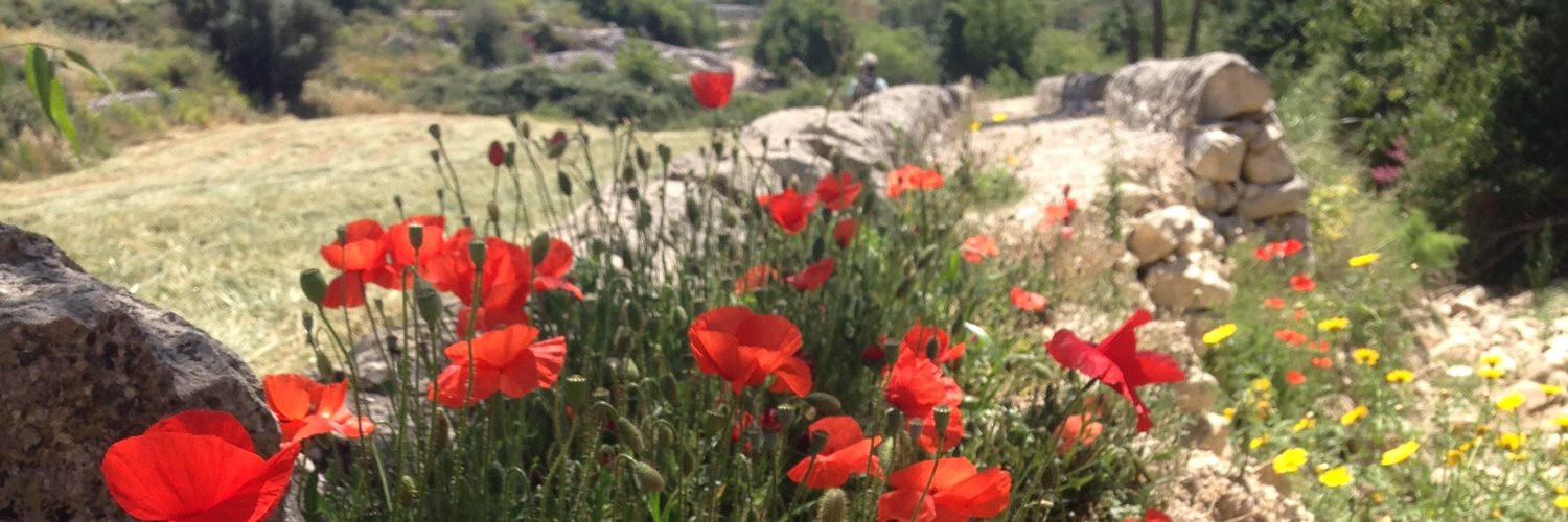 Chaillou Christophe banner