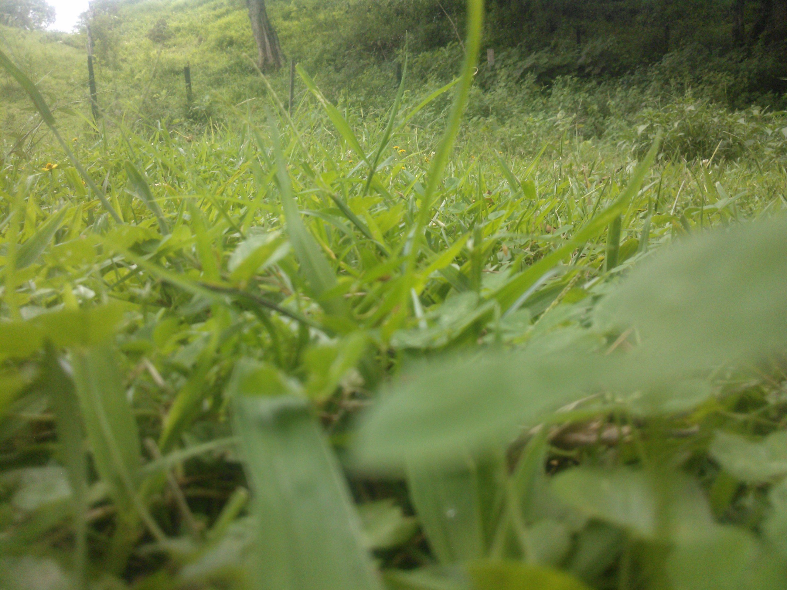 JesusGonzalez_G's profile banner image