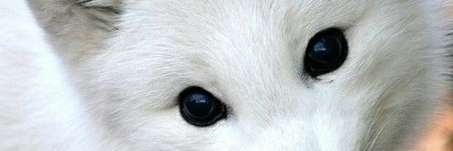 briankupo's profile banner image
