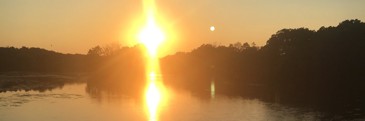 justpostcaveman's profile banner image