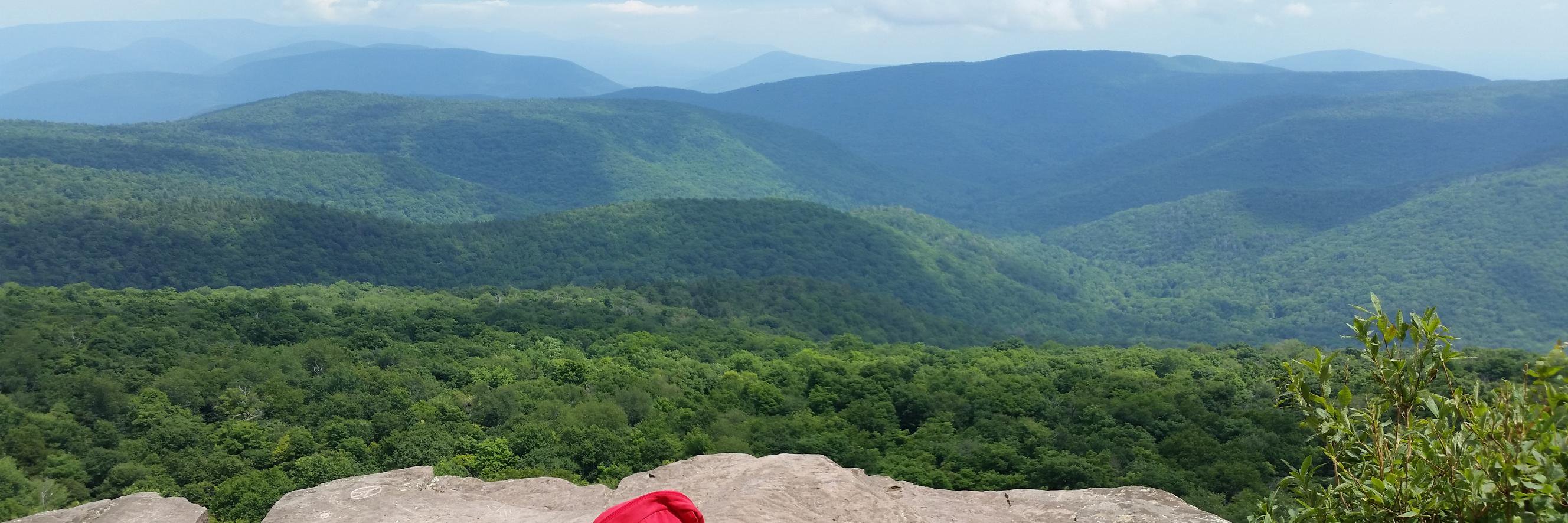 RachelElliottEd's profile banner image