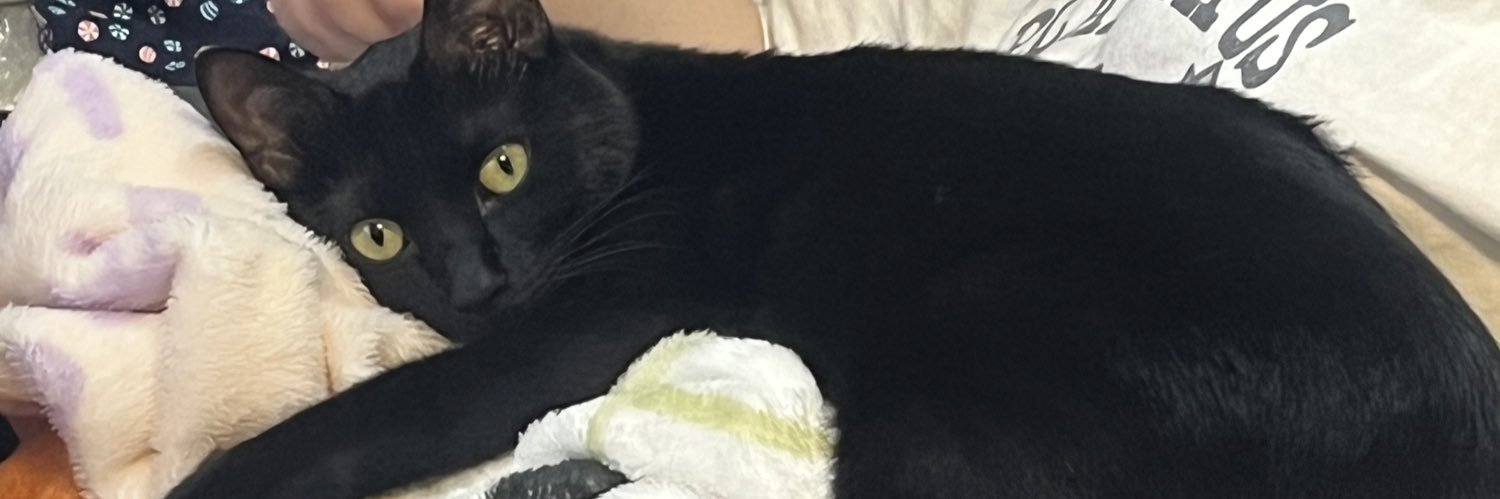 xdevilxmikix's profile banner image