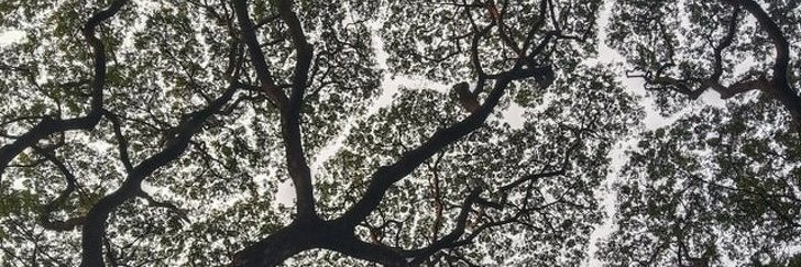 Jefphunter's profile banner image