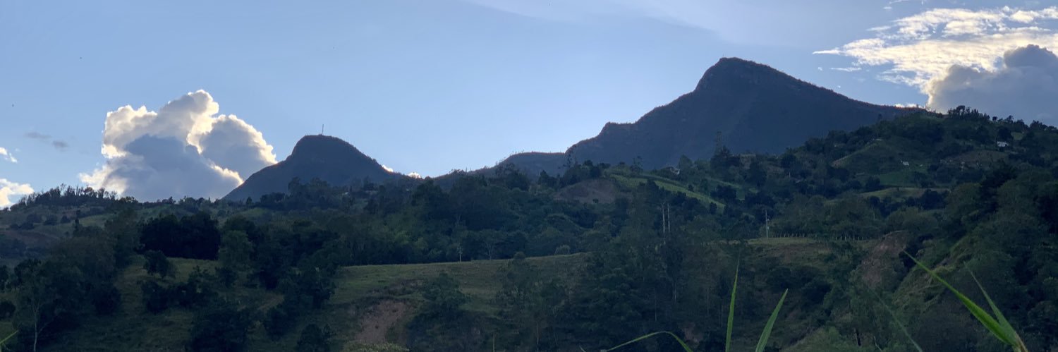 Camilo Rey banner