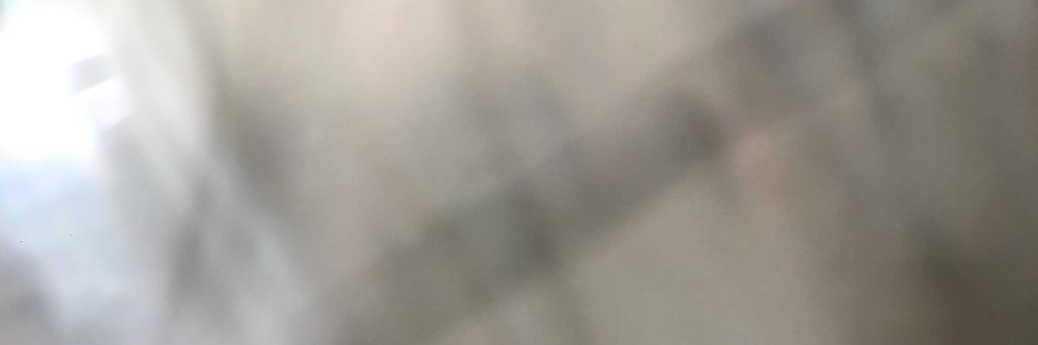 RuizOlivaA's profile banner image